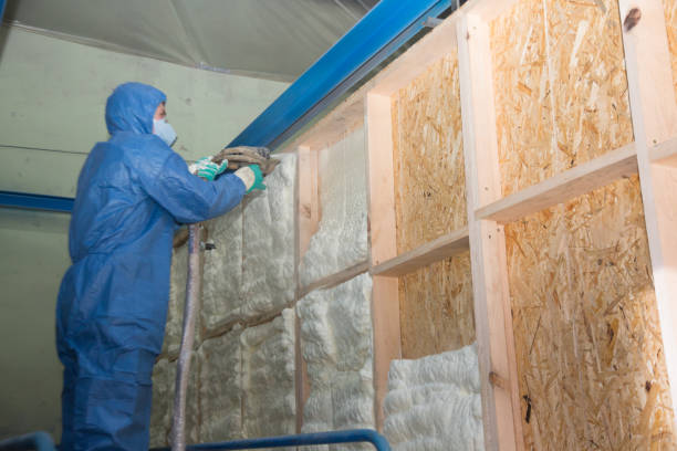 Best Energy-efficient Insulation  in Naugatuck, CT
